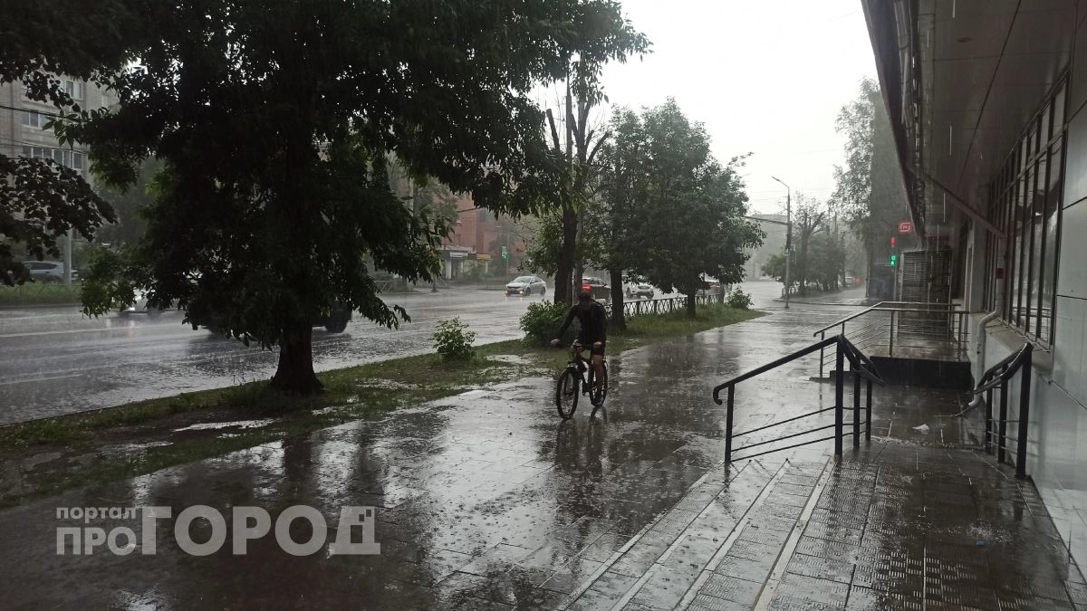 Гроза накроет Ярославскую область и усилит северо-восточный ветер до 15 м/с