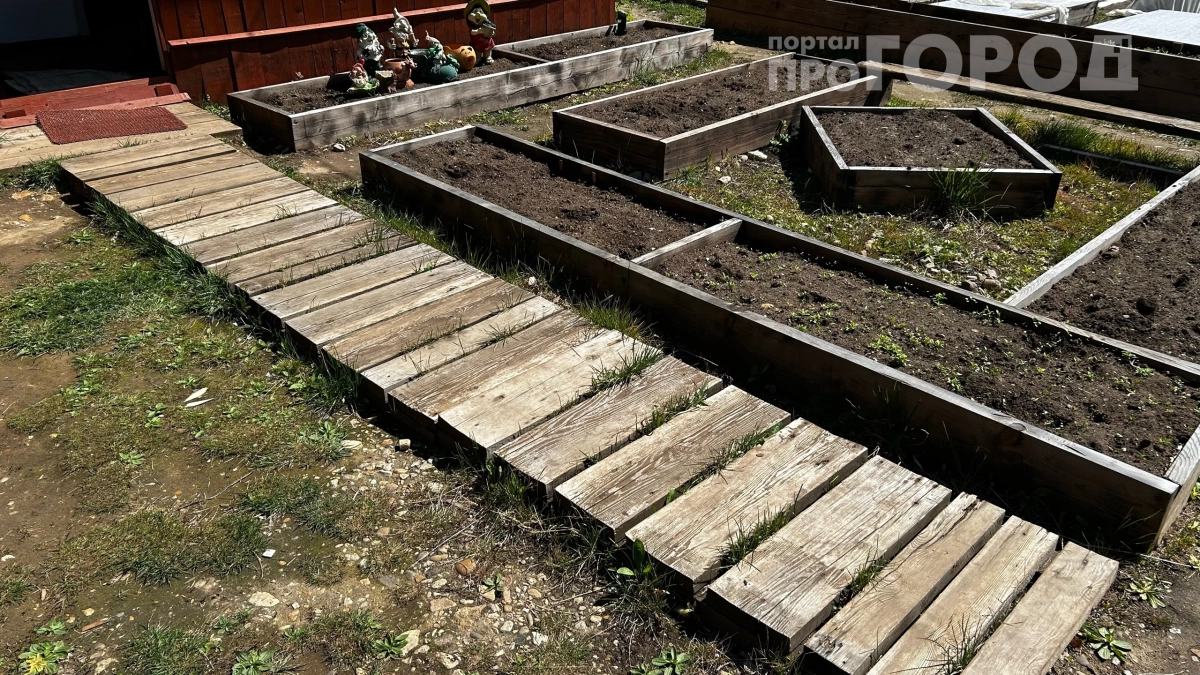 Не тратьте деньги на плитку: сколачиваем деревянную дорожку за выходные своими руками — просто и красиво