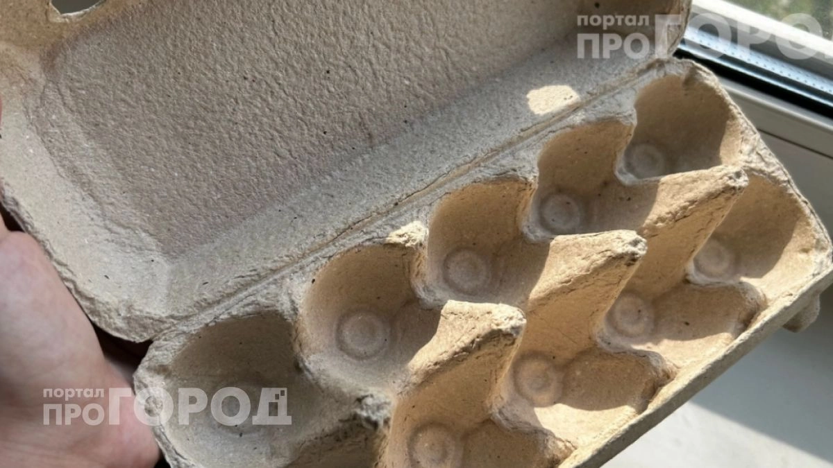 Перестала выбрасывать картонные лотки от яиц: они заменяют дорогие органайзеры и упрощают жизнь на даче