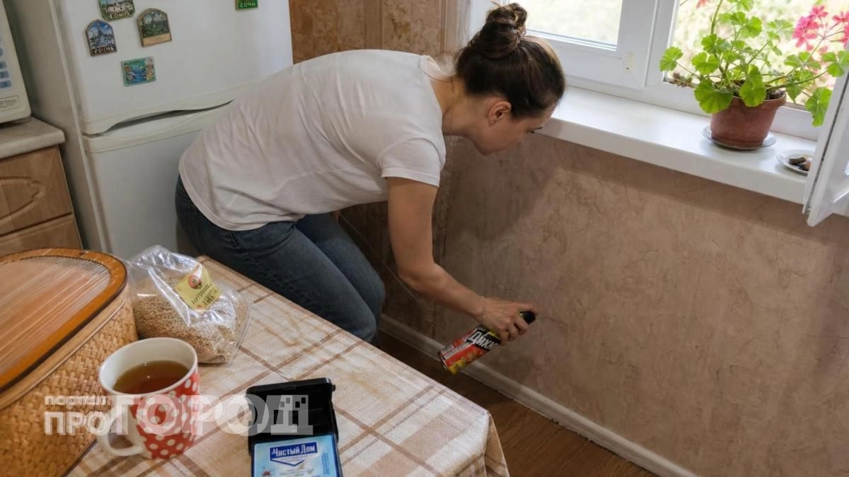 Пропитала ватный диск парой капель этого средства: муравьи покинули мой дом за ночь навсегда