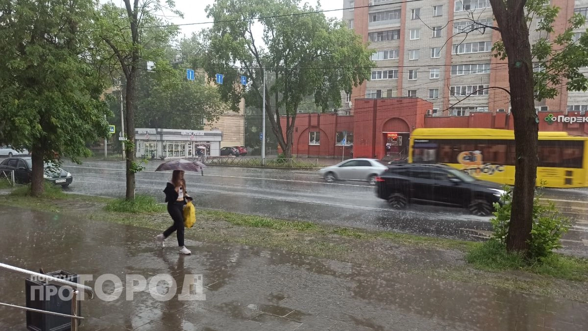 Ярославцев предупредили о грозе, ливне и шквалистом ветре