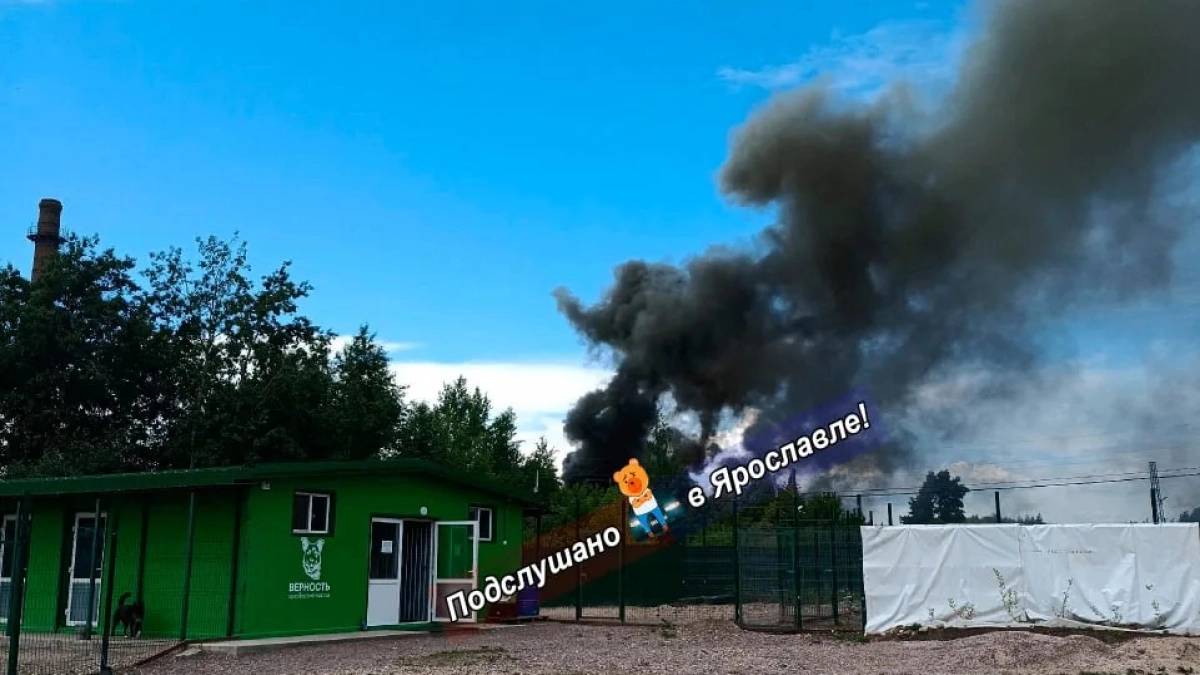 Пожар у приюта „Верность“ напугал жителей: в МЧС объяснили, что горело