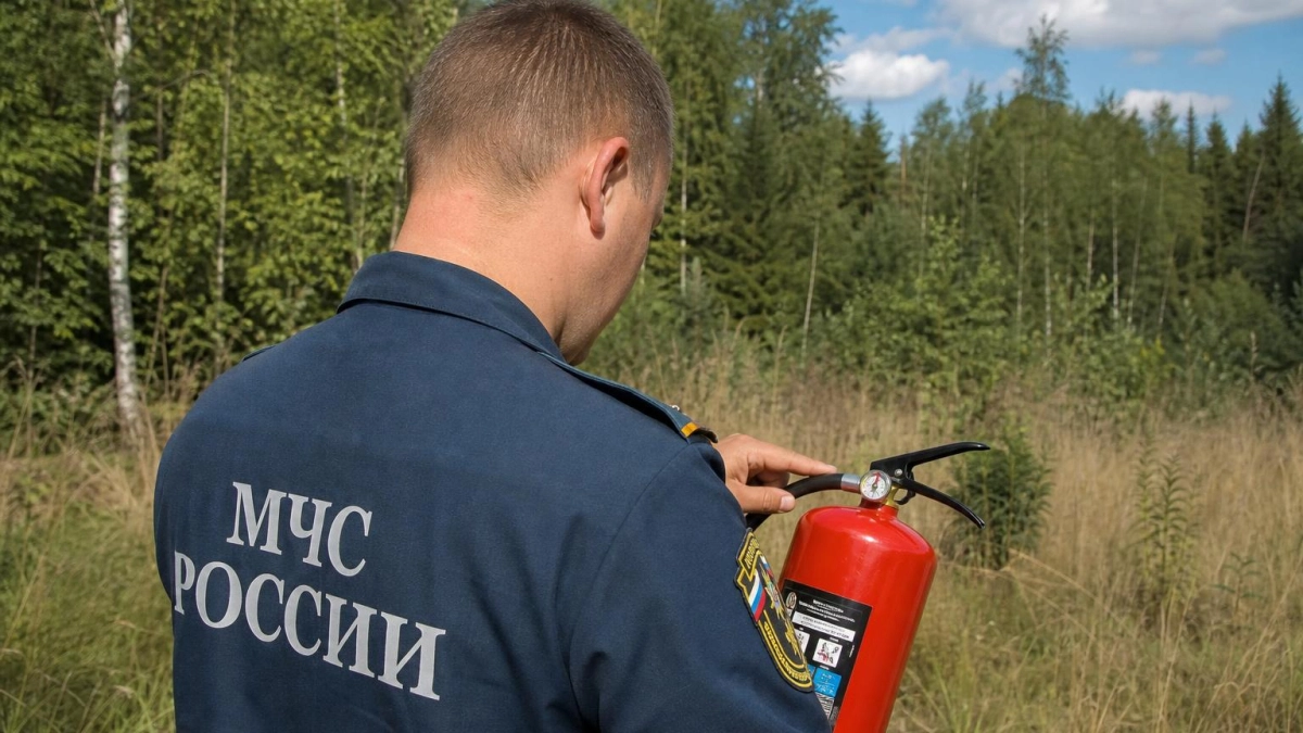 В Ярославской области запретили костры из-за 5 класса пожароопасности