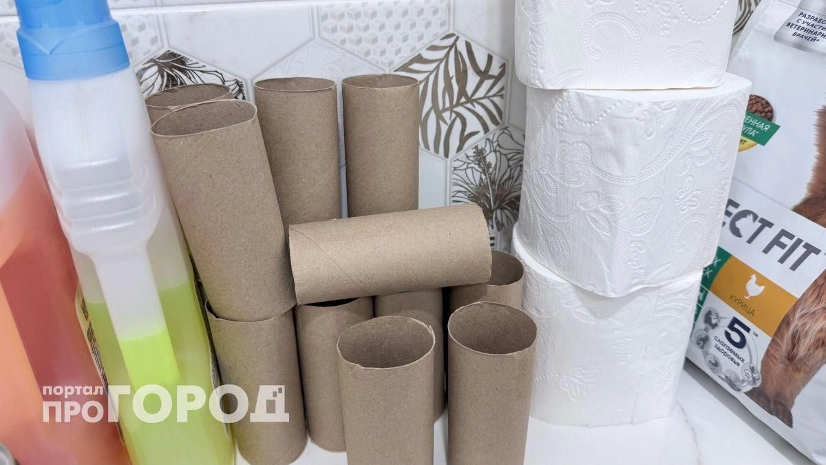 Хватит выбрасывать втулки от туалетной бумаги: 7 простых способов превратить картон в помощника для рассады