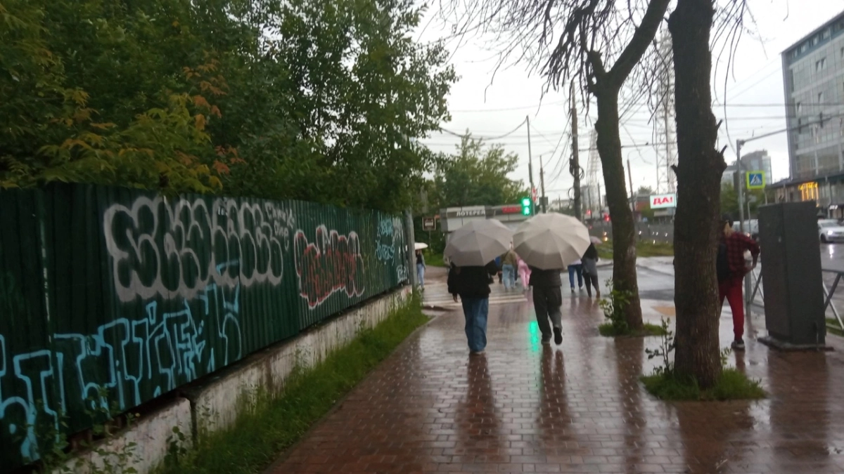 Ярославцев предупредили о новой порции непогоды: «И снова гроза»