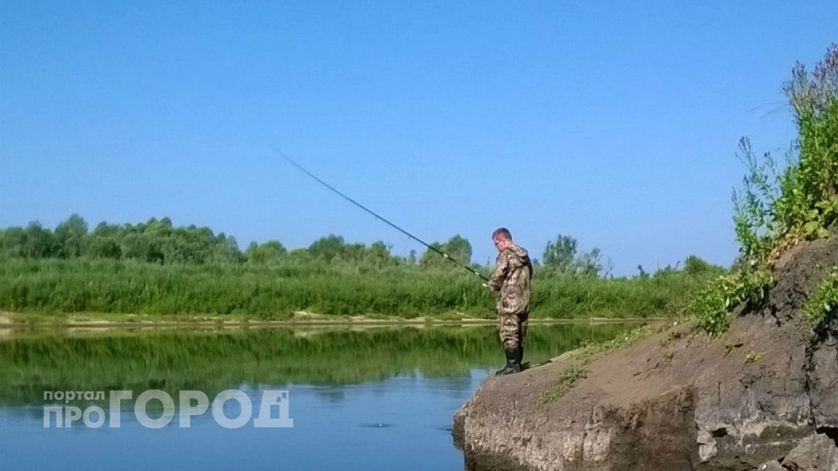 Окунь клюет как сумасшедший: 3 секрета старых рыбаков про прикормку, о которых молчат в магазинах