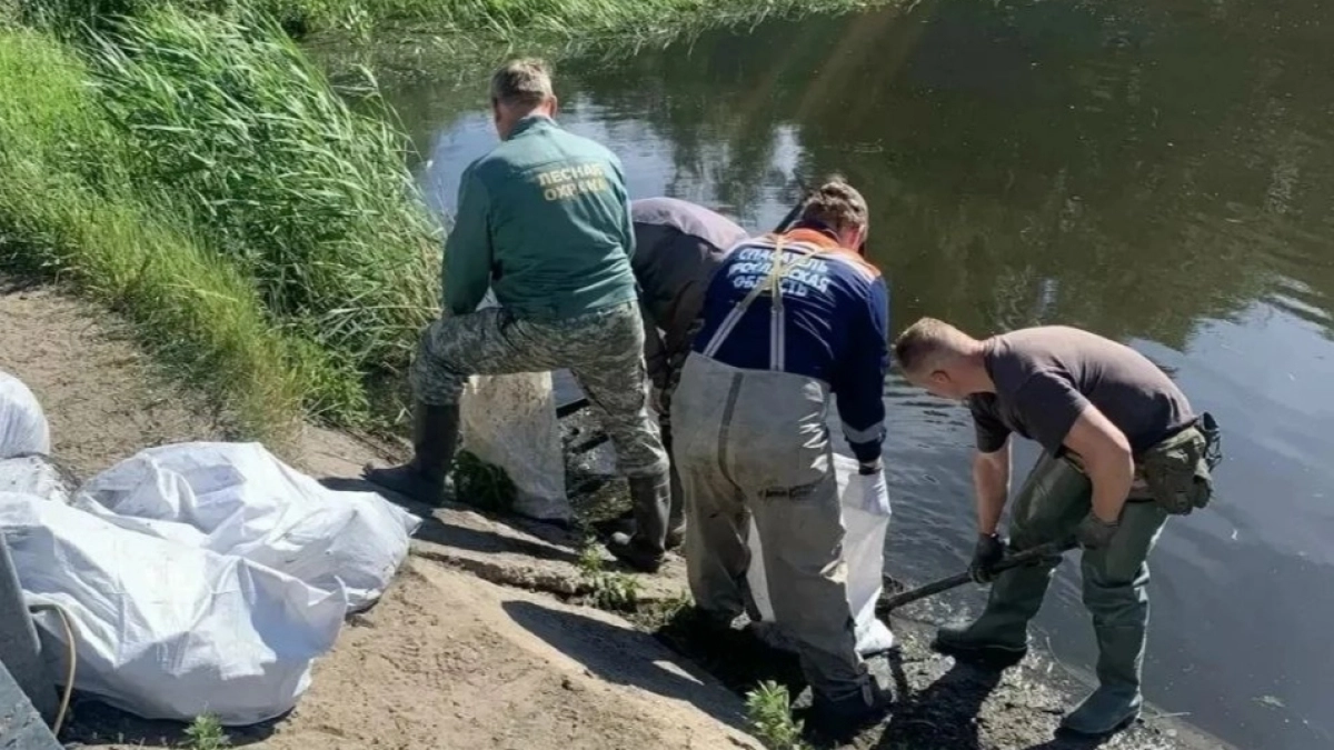 Чёрный дождь без угрозы: в Ярославской области осадки из сажи признали безопасными