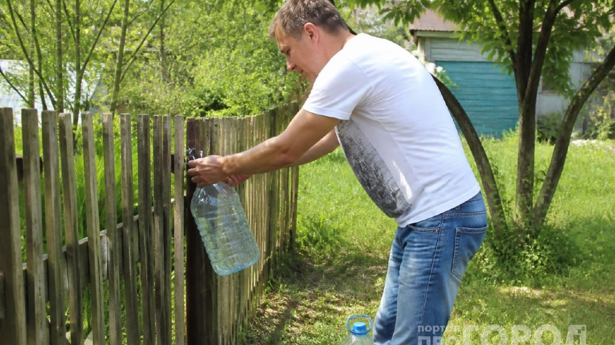 Бутылка с водой на заборе не для красоты: вот как она помогает решить деликатную проблему