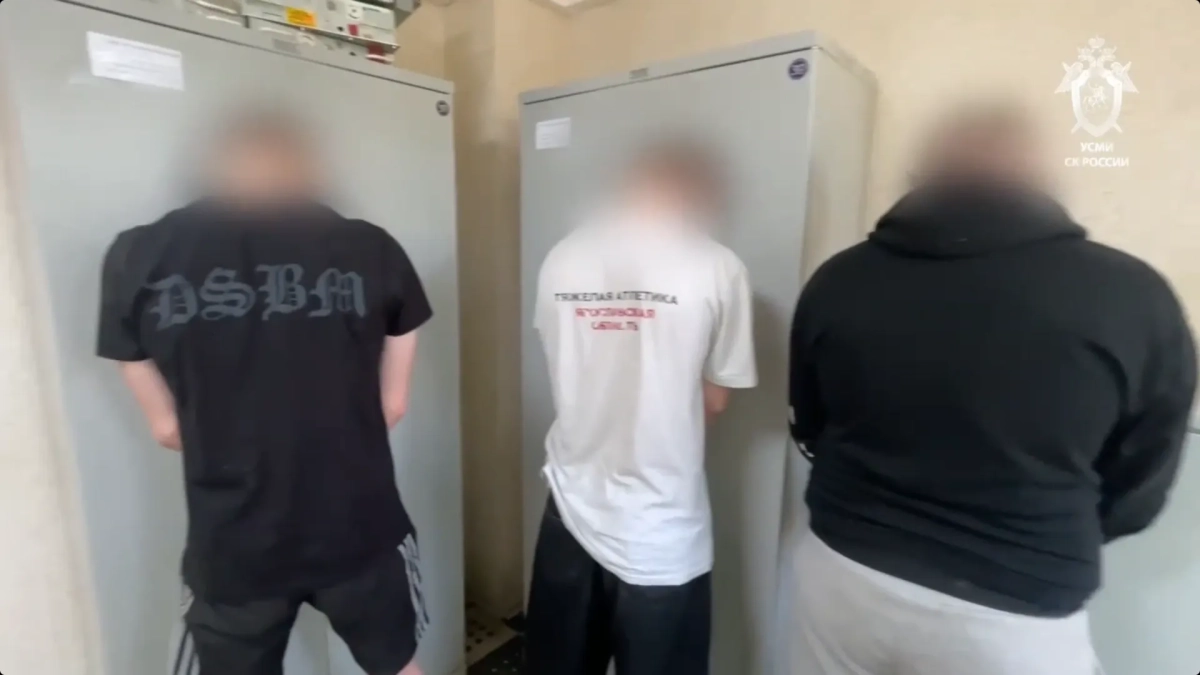 В Ярославле по делу об экстремистской группе задержали 11 человек