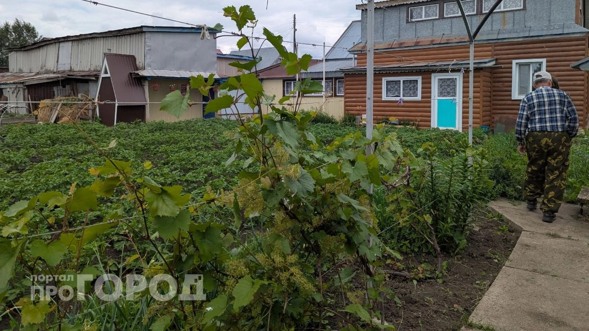 Забудьте про прополку: просто смешайте стакан этого состава с водой и сорняки исчезнут уже на следующее утро