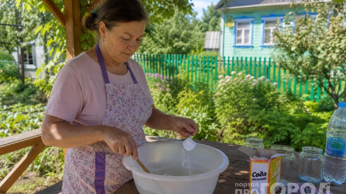 Думала, без дорогой химии не обойтись: три трюка с содой от умного соседа спасли весь урожай