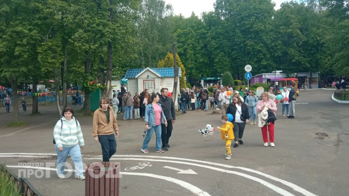 Мэрия Ярославля сообщила о переносе Дня мороженого