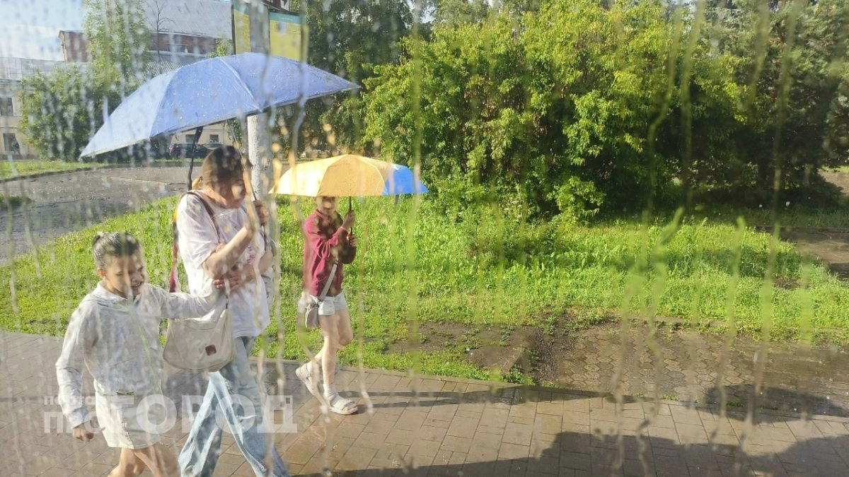Ярославль встретит новую неделю дождями