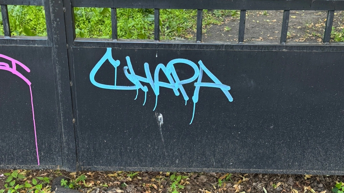 В Ярославле установили личность автора граффити «Чапа» после жалоб жителей