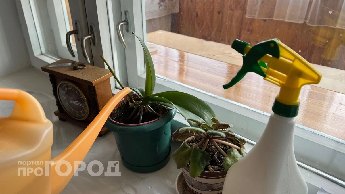 Три вещи, которые портят запах в квартире: они есть у каждого россиянина