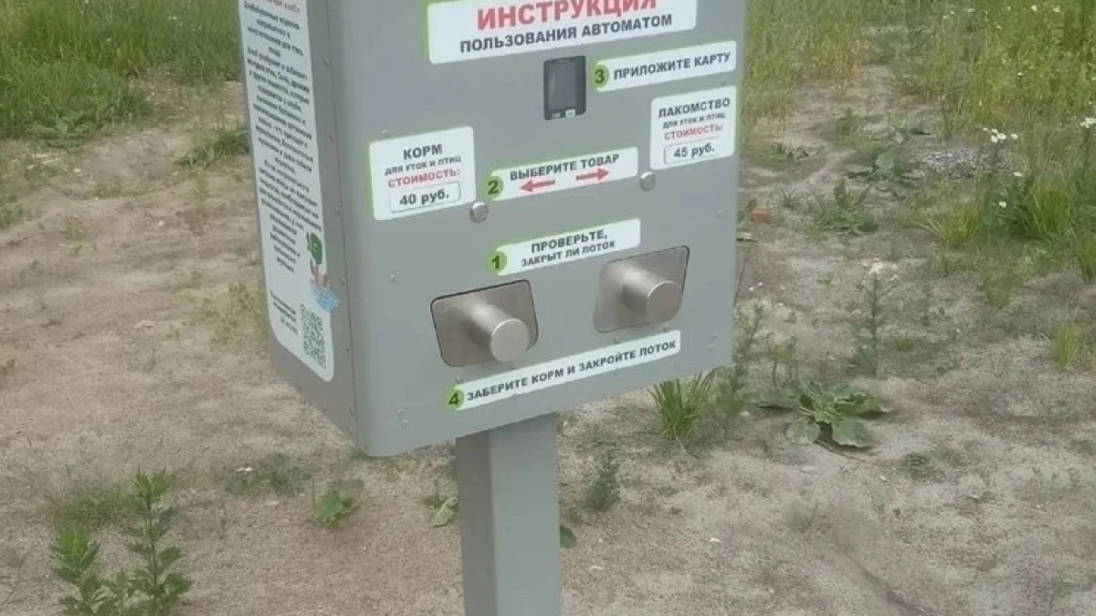В парке Судостроителей "поселился" автомат для птиц: 40 рублей за правильный корм
