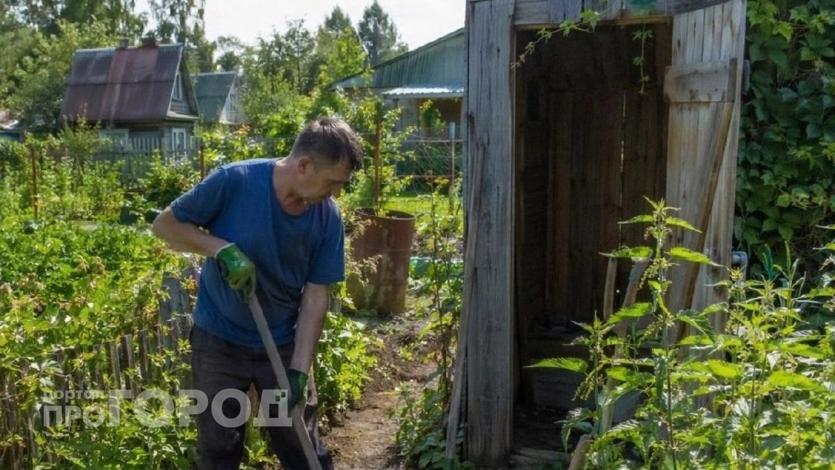 Абсолютно без каких либо затрат избавляюсь от вони в дачном туалете: все что понадобится есть на каждом участке