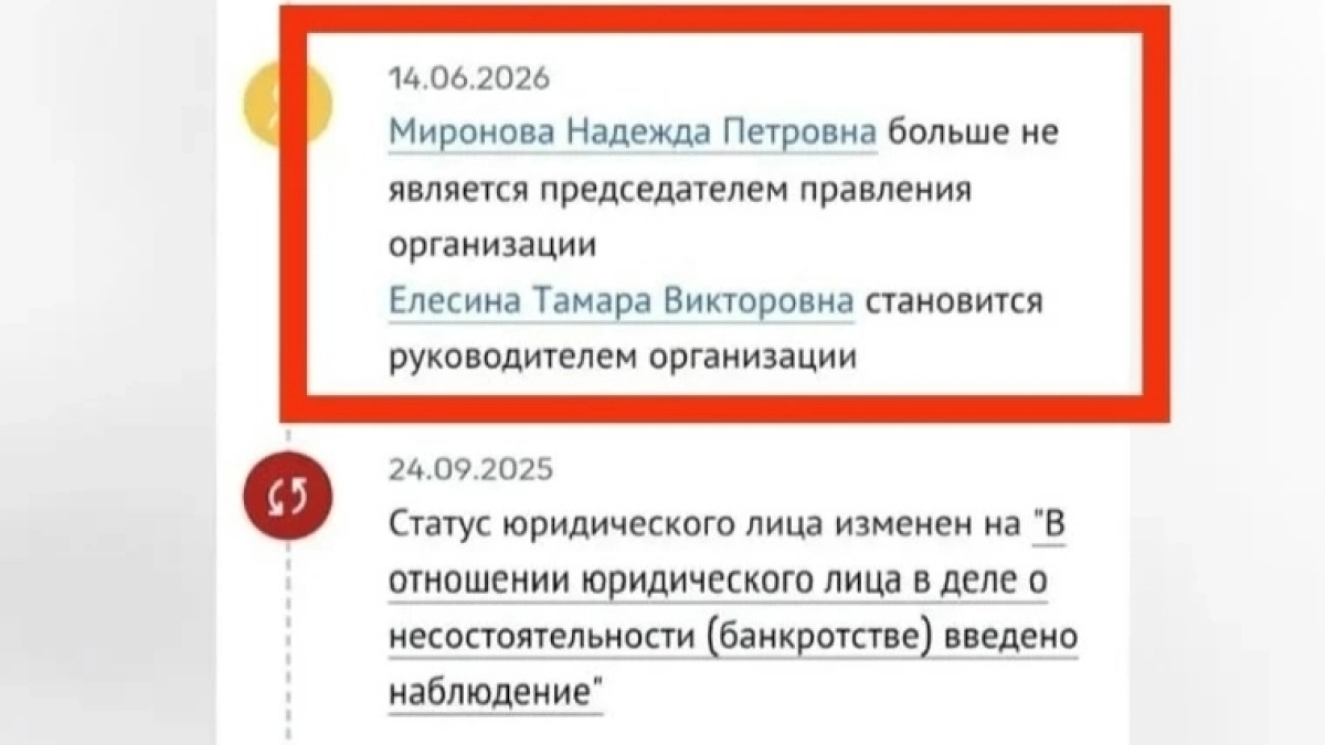 Бывший председатель СНТ не верит суду и собирает наличные взносы в Коровино: как садоводам не потерять личные деньги