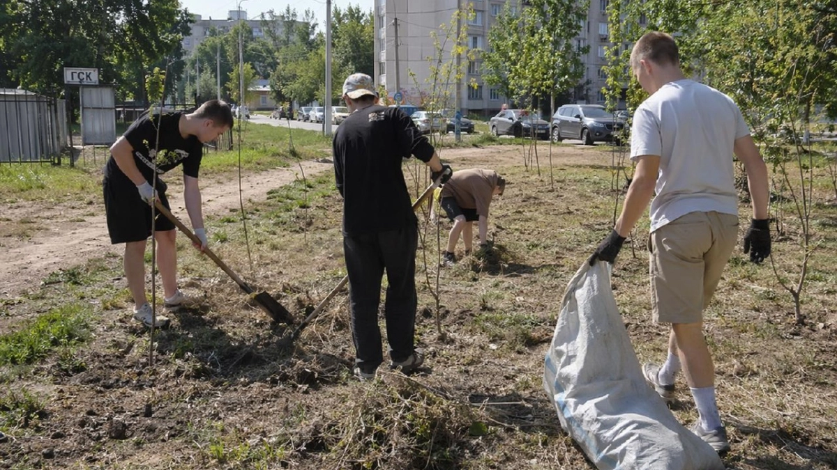 Зачем подростки ходят по пустырям с лопатами и выкапывают сорняки: секретные корешки разлетаются на маркетплейсах за бешеные деньги