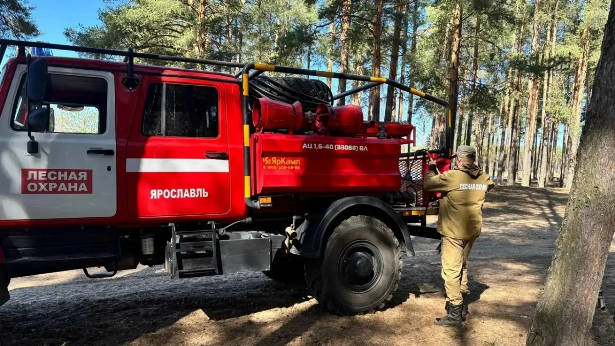   Огонь под контролем: в регионе объявлен особый противопожарный режим из-за экстремальной жары