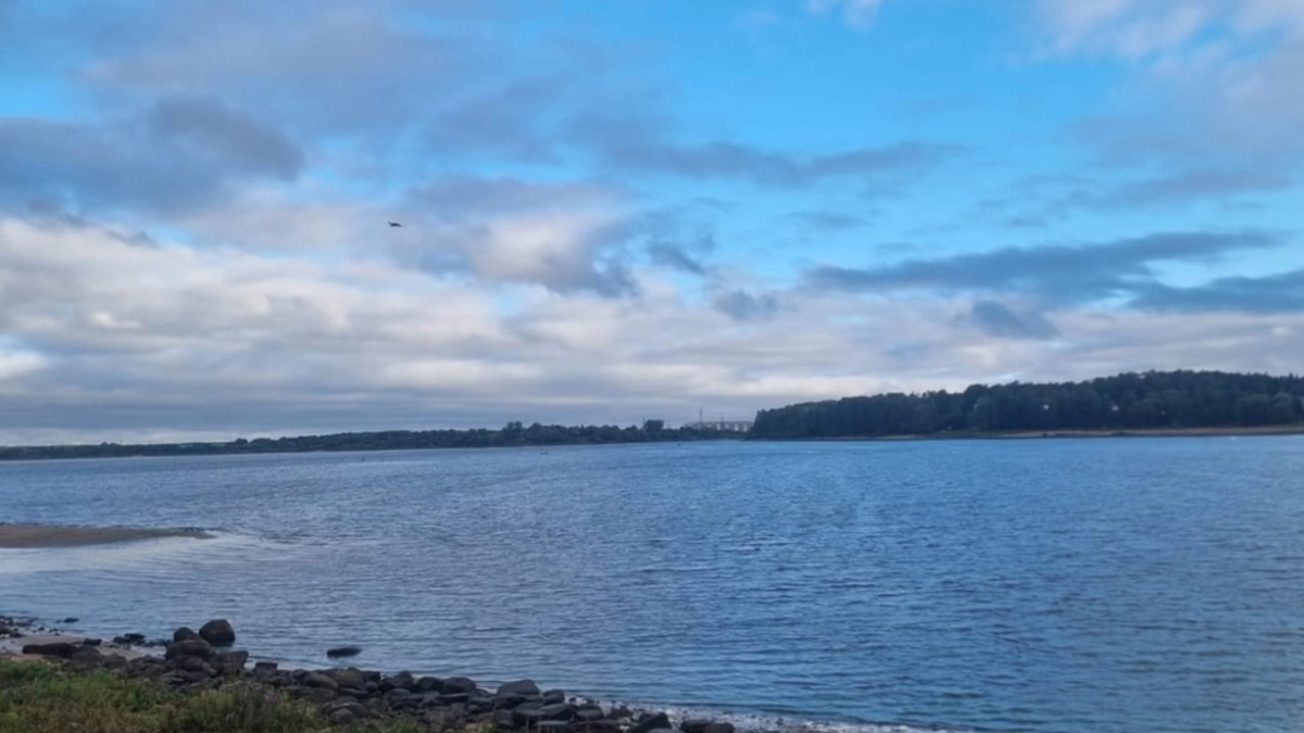 В Рыбинском водохранилище повторно взяли пробы воды после жалоб на ее цвет