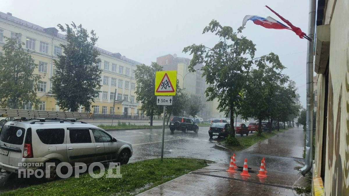 В Ярославской области сутки будет лить дождь