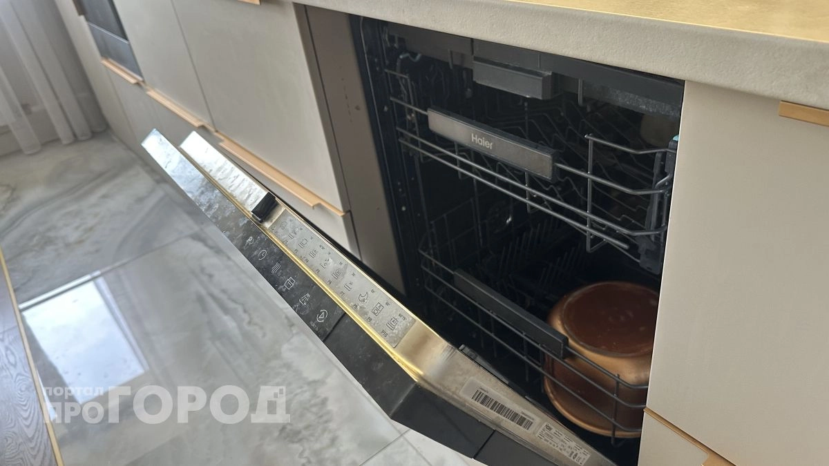 Француз попробовал пожить без посудомойки, как многие россияне, и сделал неожиданный вывод