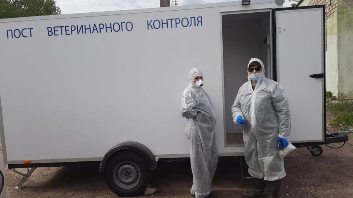 В Ярославской области сняли карантин по бешенству после ликвидации очага