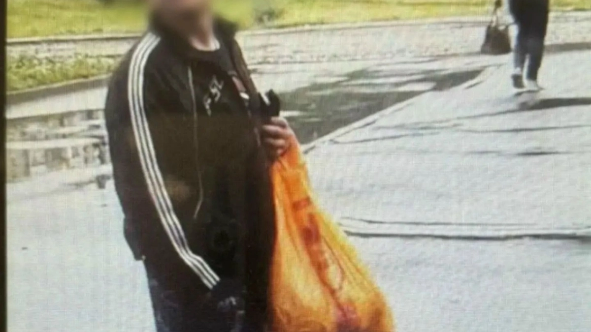 Ночная вспышка на Совхозной попала на камеры: как быстро нашли подозреваемого в поджоге веранды