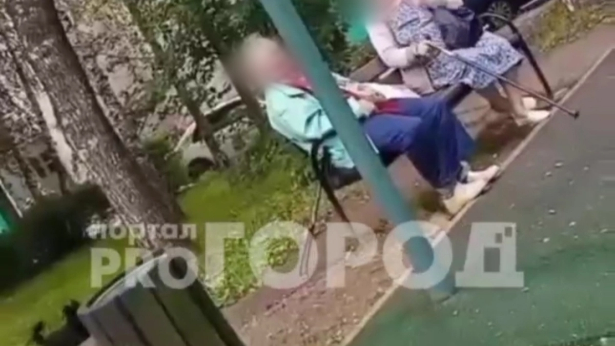Потасовка в брагинском дворе: бабушки обругали детей матом