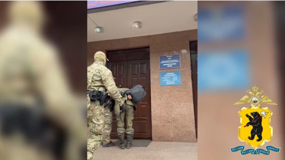 История из Ярославля, где видео решило всё: полиция нашла и задержала мужчину после гибели кошки