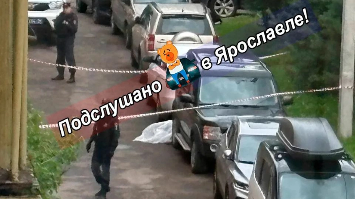 Очевидцы слышали шум и звали помощь в Ярославле: ночной конфликт закончился гибелью двоих и задержанием подозреваемого