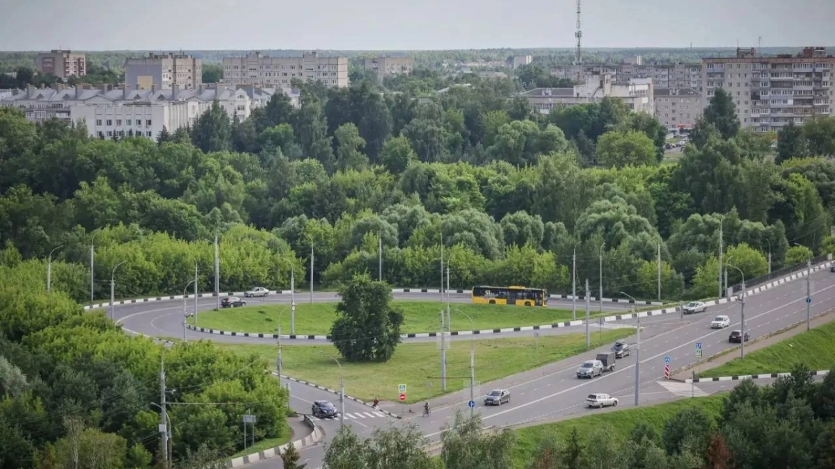 Город обновляет зеленый фонд: что происходит с деревьями в Рыбинске и где ждать новые посадки