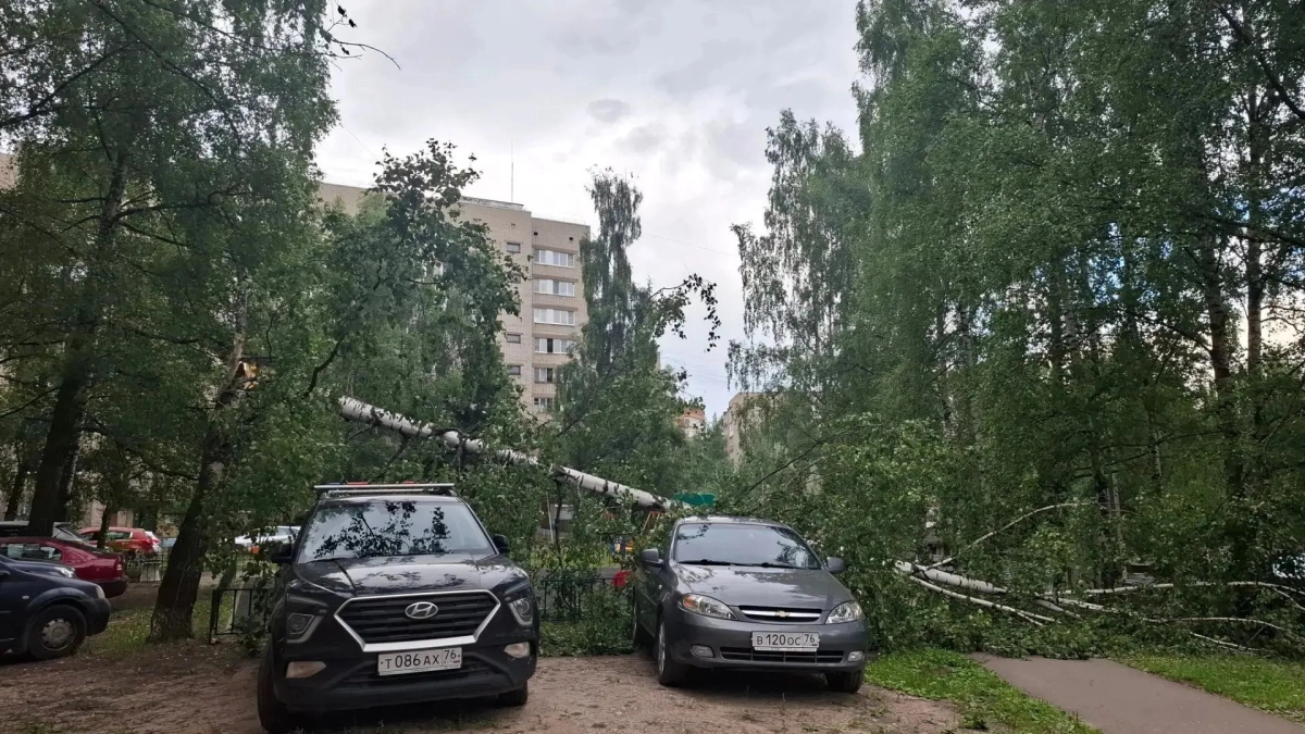 Непогода оставила без света населённые пункты Ярославской области