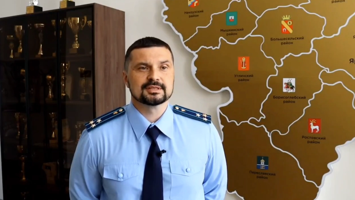 Добыли четырёх лосей и лишились авто: почему охота в Ярославской области закончилась судом и требованием вернуть 960 тысяч рублей