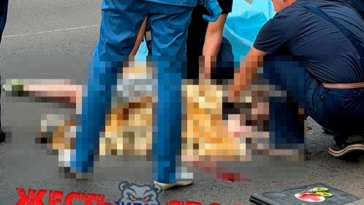 ДТП с автобусом, строительство жилого квартала и развитие туристического маршрута: главные новости за 14 июля