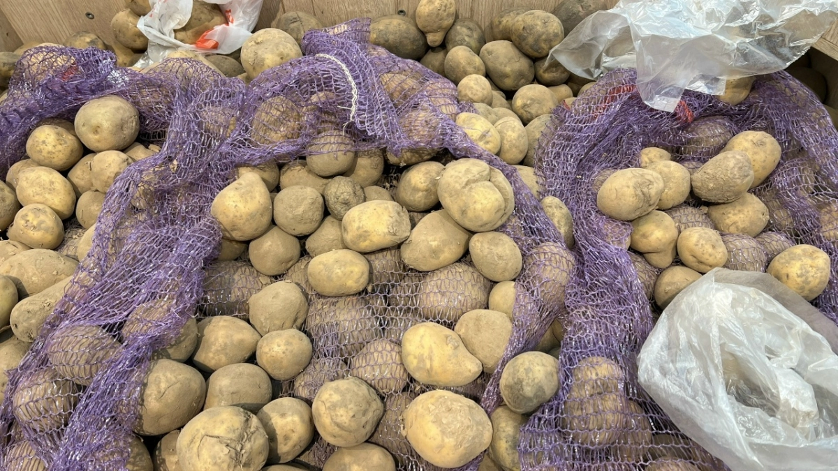 Овощи дорожают, яйца дешевеют: как изменилась продуктовая корзина жителей региона за июнь
