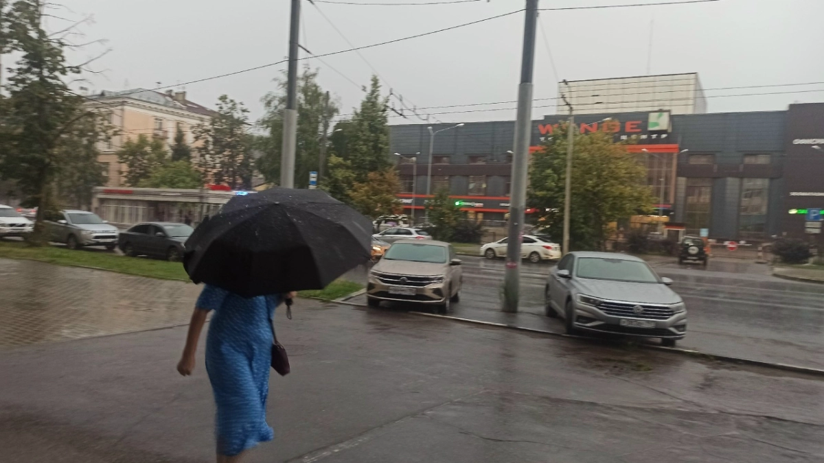 Ветер валит деревья, вода заходит в дома: как Ярославская область переживает затяжную непогоду