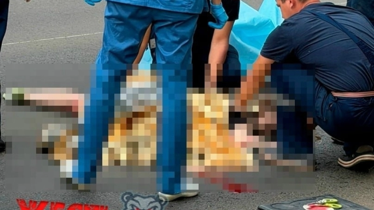 История одной секунды в Ярославле: водитель автобуса проигнорировал сигнал и сбил 26-летнюю пешеходку