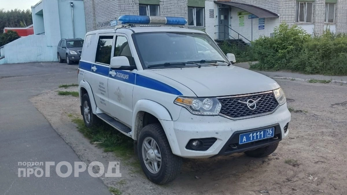 Вырастил коноплю и попал под статью: жителю Углича грозит до 10 лет