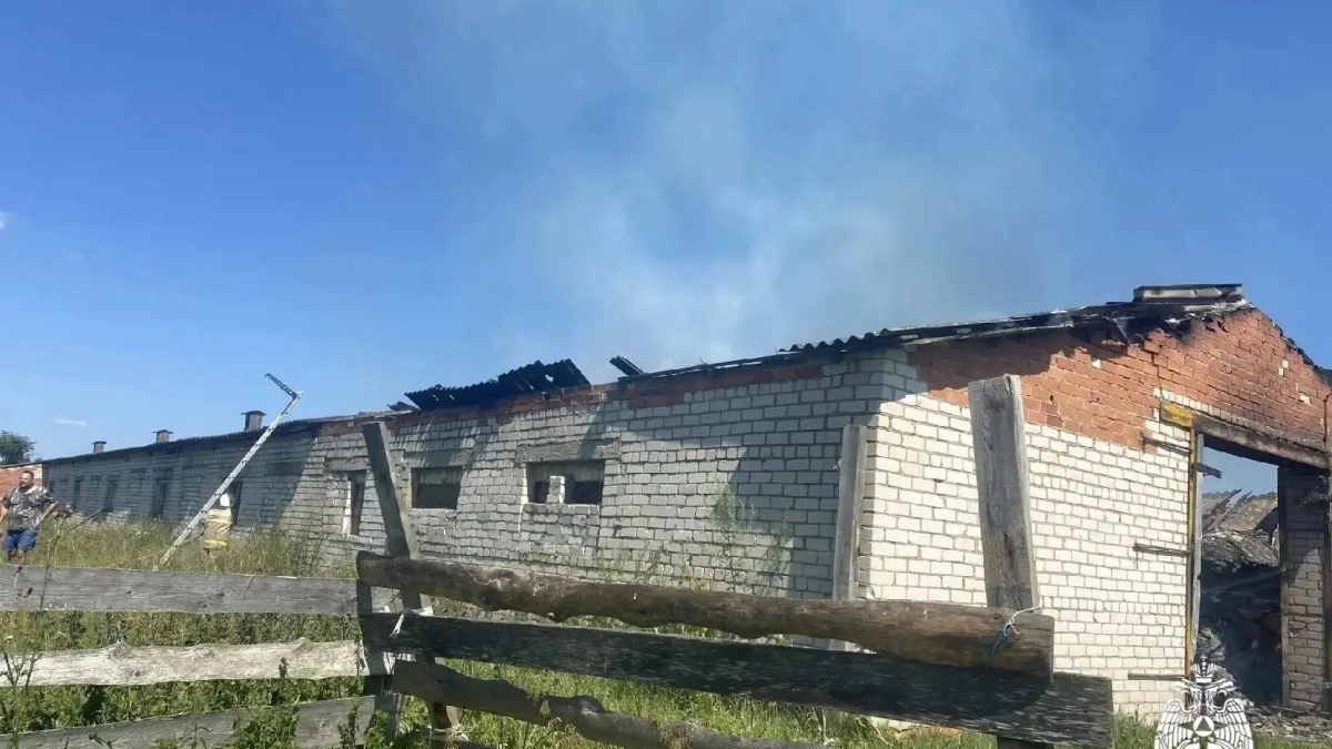 Неосторожность с огнём сожгла ферму в Климово: 270 квадратов ущерба, сено уничтожено, проверка ведётся
