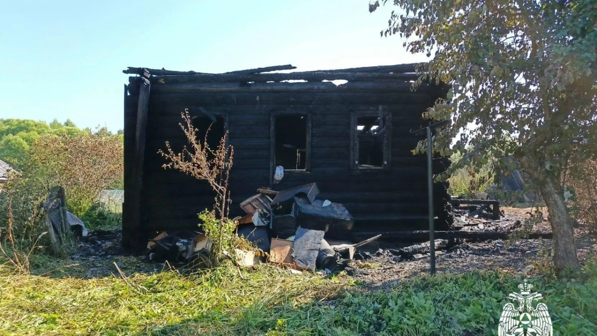 Трагедия в Угличском округе: пожар оставил без дома двор и унес жизнь пожилого жителя деревни