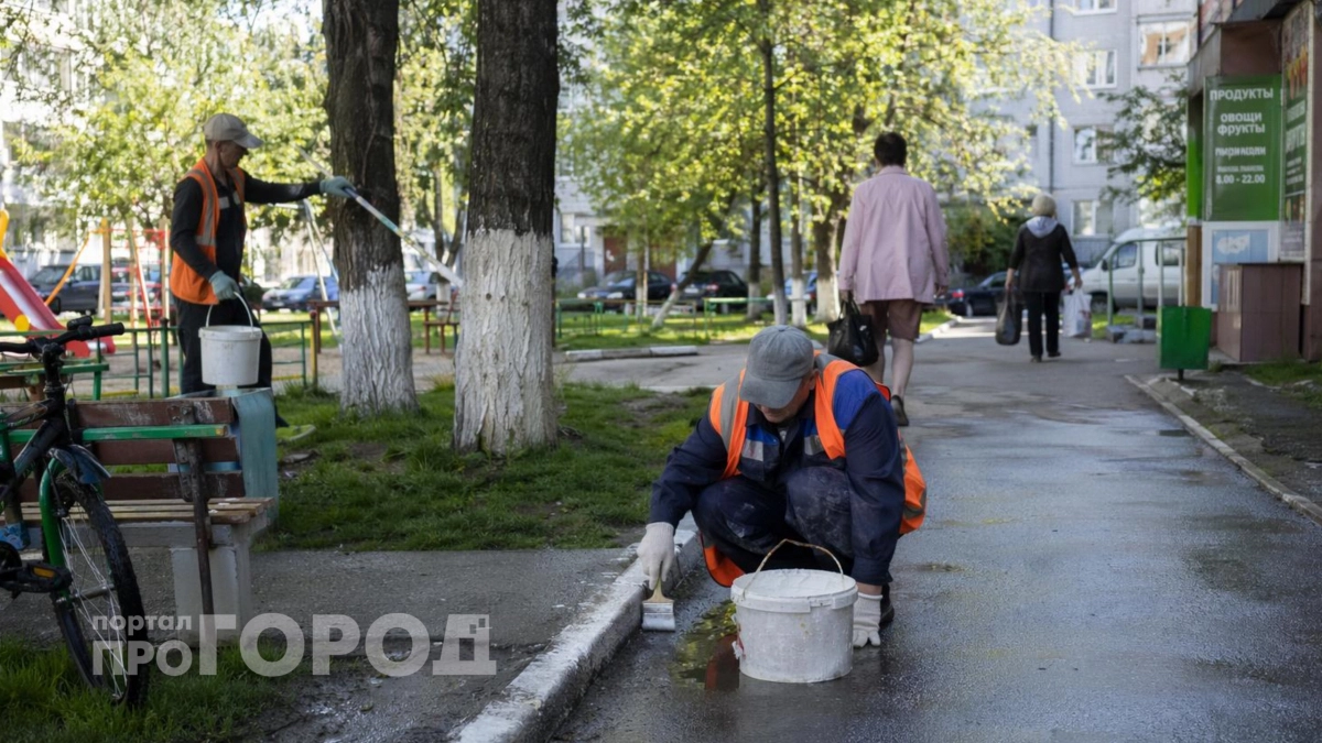 Всю жизнь белил деревья в белый цвет по привычке: вот какой скрытый военный смысл открылся мне на днях