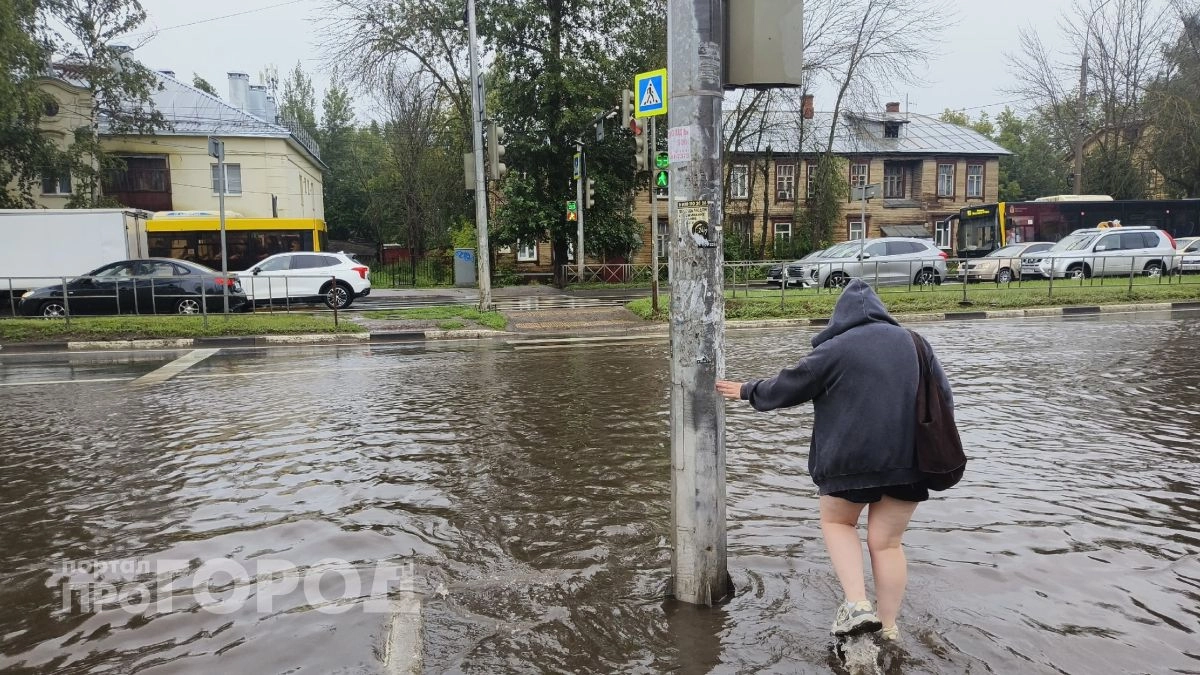 Ярославль вместо солнца утром встретил ливень: утки подрезают водителей