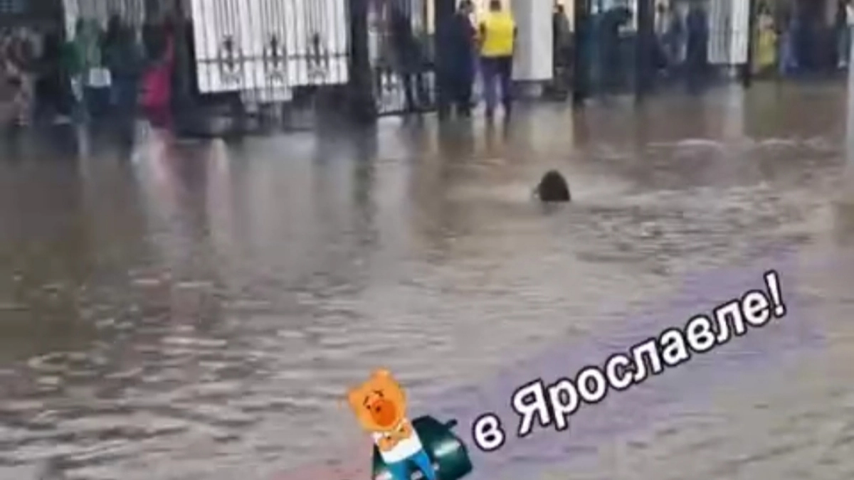  Пассажирам пришлось менять привычный маршрут: тоннель на вокзале Ярославля закрыли из-за подтопления