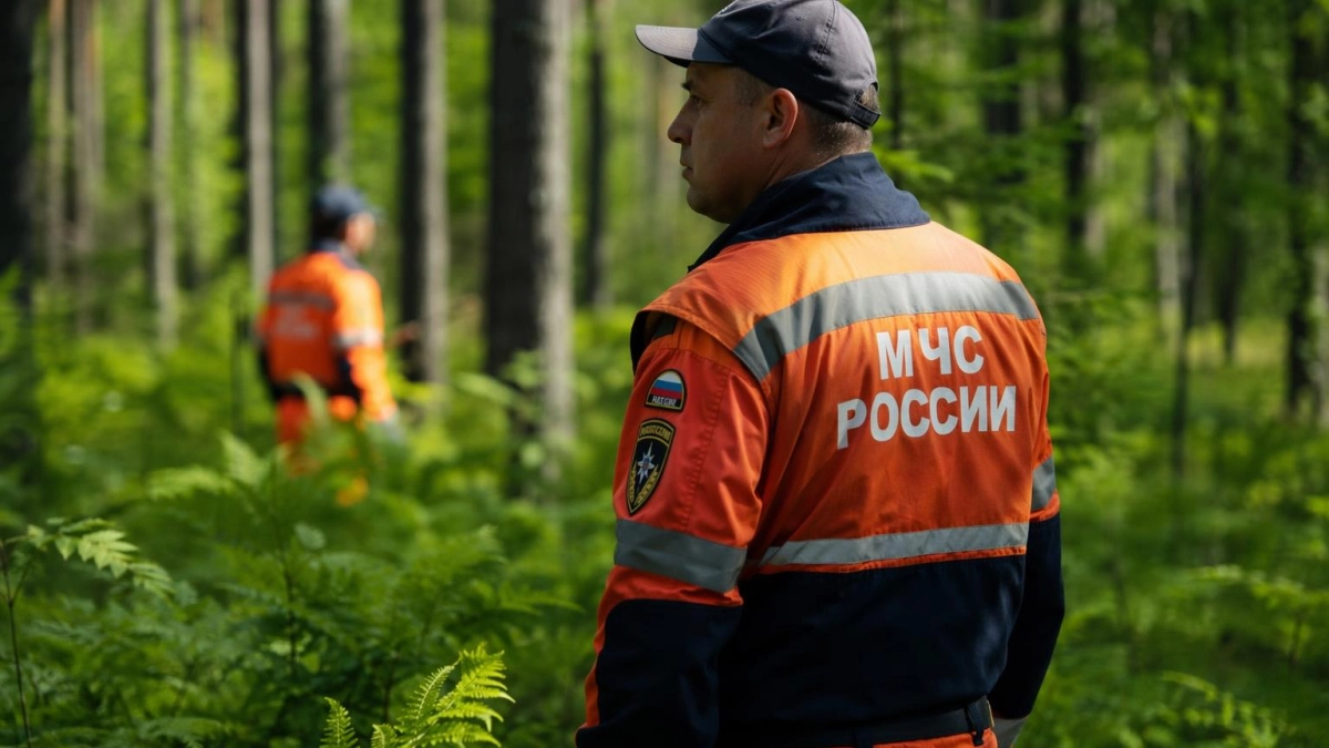 Грибник обнаружил в лесу под Ярославлем обломки, похожие на части беспилотника