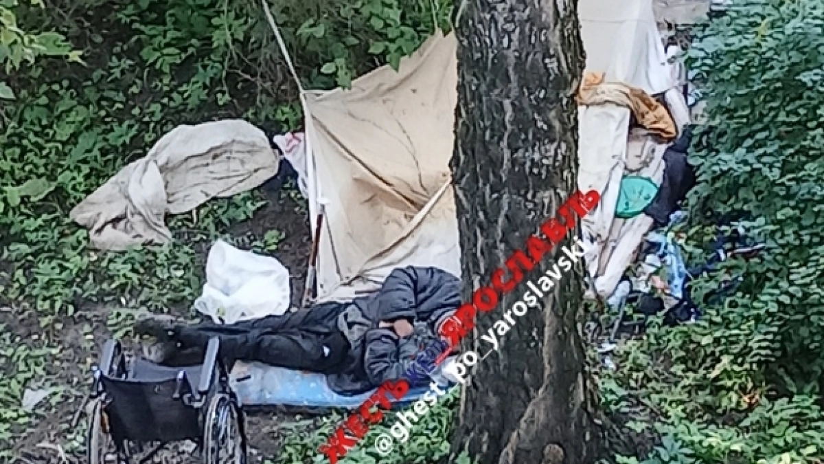 В Ярославле мужчина на коляске больше месяца ночует у жилого дома