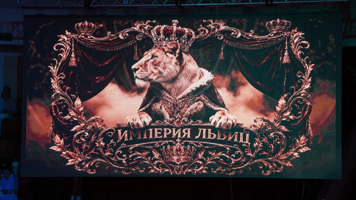 «Империя львиц» весь август Ярославле: хищники, акробаты и звёзды цирка на одной арене