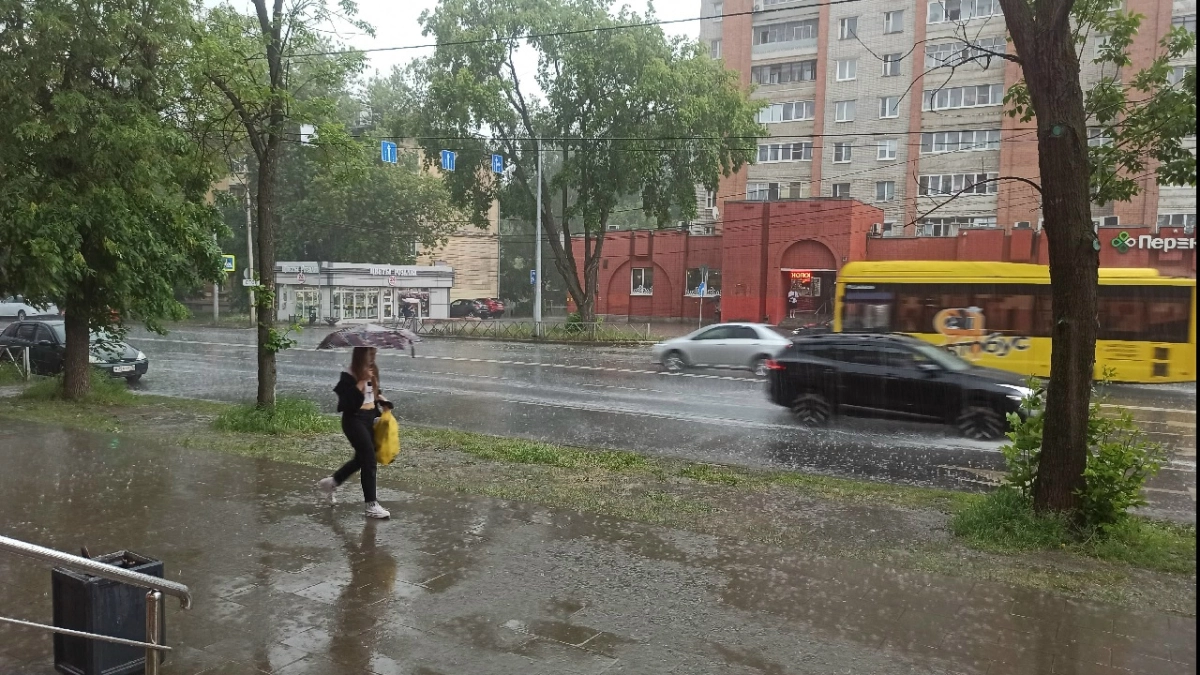 Гроза и мощный ветер: на Ярославский регион надвигается сильная непогода
