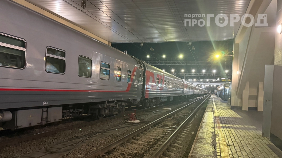 В РЖД изменили правила провоза багажа: что теперь нельзя брать в поезд даже в сумке